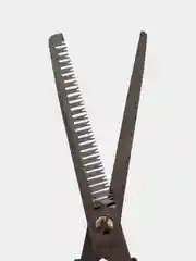 Ножницы парикмахерские филировочные F-1904 (5.5")