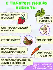 Оранжевый рамка вкладыш для малышей Монтессори/ Деревянные пазлы для развития мелкой моторики