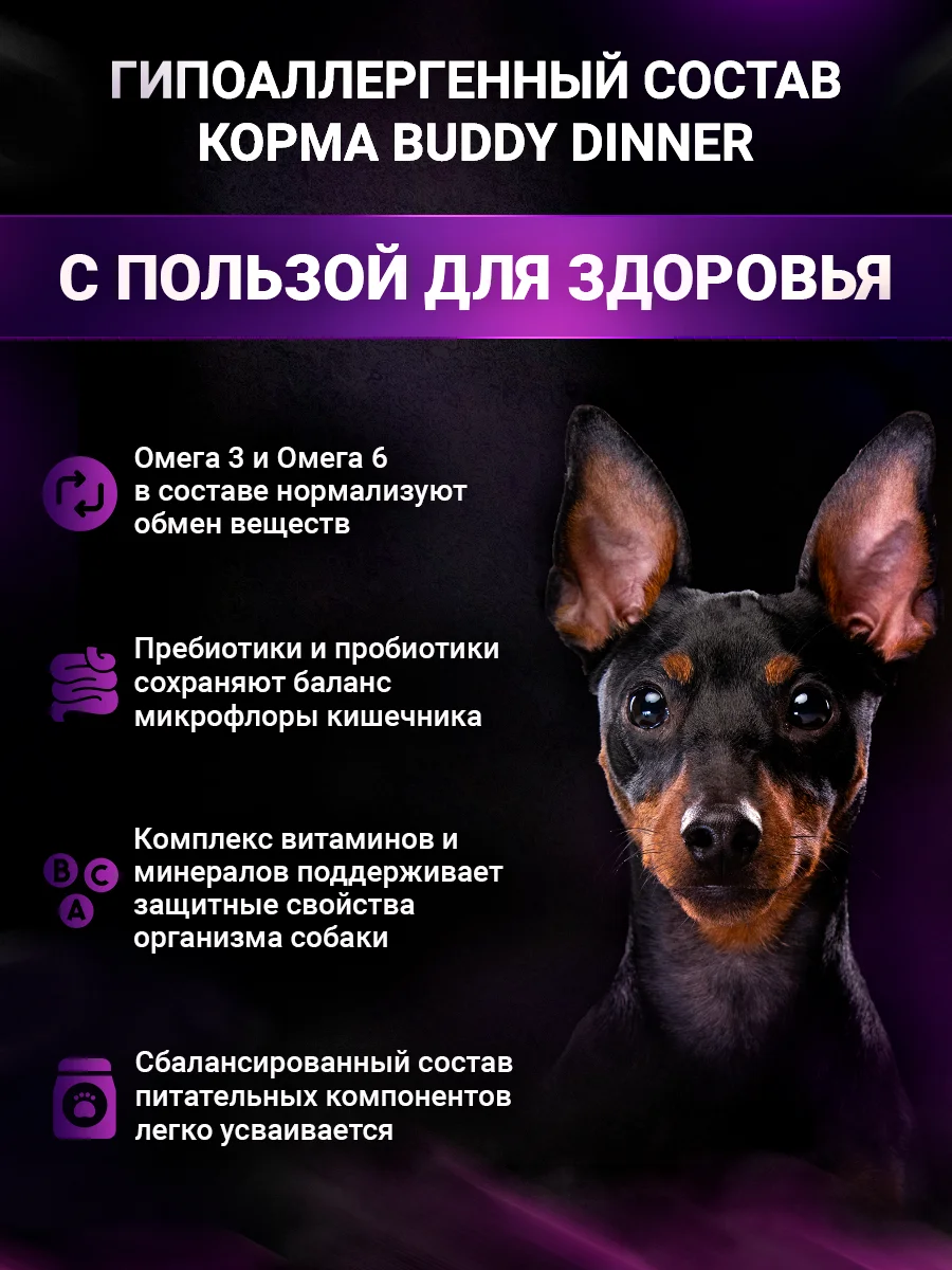 Сухой корм для собак мелких пород с индейкой, 3 кг+1 кг в подарок