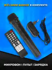 Колонка Bluetooth 838, 8", 3600mAh, беспр. микрофон, пульт, Bluetooth/USB/TF/AUX/FM