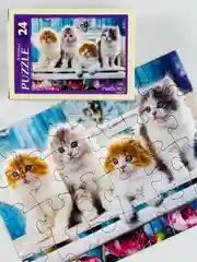Пазл мозаика для малышей Очаровательные котята котенок кошка киска домашние питомцы друзья