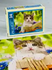 Пазл картонный мозаика малышам Очаровательные котята котенок кошка киска домашние питомцы