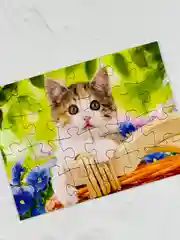 Пазл картонный мозаика малышам Очаровательные котята котенок кошка киска домашние питомцы