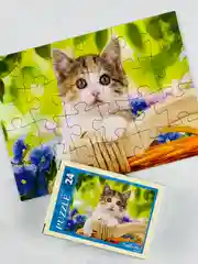 Пазл картонный мозаика малышам Очаровательные котята котенок кошка киска домашние питомцы