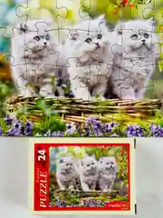 Пазл мозаика для малышей Очаровательные котята котенок кошка три котенка домашние питомцы