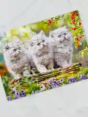 Пазл мозаика для малышей Очаровательные котята котенок кошка три котенка домашние питомцы