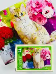 Пазл картонный мозаика малышам Очаровательные котята котенок кошка киска домашние питомцы