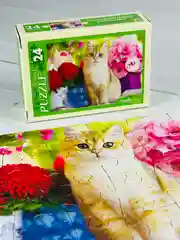 Пазл картонный мозаика малышам Очаровательные котята котенок кошка киска домашние питомцы