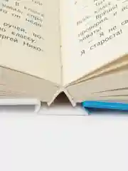 Васек Трубачев и его товарищи В. Осеевой. Школьная программа