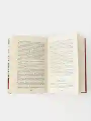 Дети капитана Гранта Ж. Верна. Школьная программа