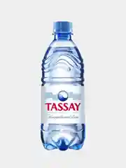 Вода негазированная Tassay природная, 0,5 л