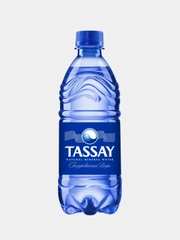Вода Tassay, газированная, природная, 0,5 л