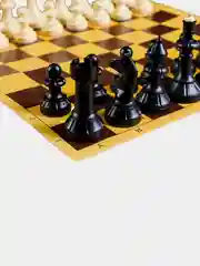 Шахматы пластиковые "Русские игры", доска из микрогофры