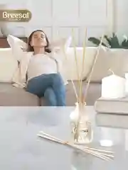 Ароматизатор для дома, диффузор ароматический, 2 шт