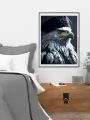 Картина по номерам на холсте с подрамником "Белый орел", 40*50
