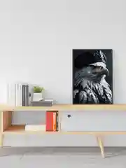 Картина по номерам на холсте с подрамником "Белый орел", 40*50