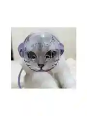 Намордник для кошек, животных, для собак, для груминга, шлем-намордник