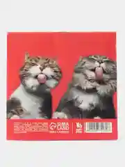 Алый блокнот, 10*10, 16 листов. Наборы по 1,5,10,15,25 штук