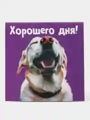Разноцветный блокнот, 10*10, 16 листов. Наборы по 1,5,10,15,25 штук