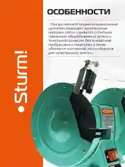 Точильный станок Sturm! BG6020L