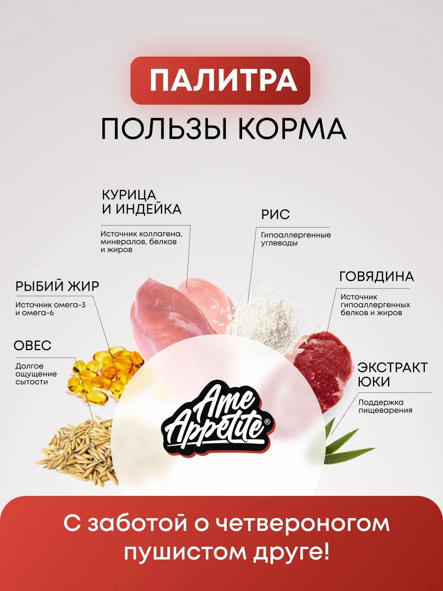 AmeAppetite сухой полнорационный корм "мясное ассорти" для котят с 2 до 12 месяцев
