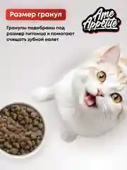 AmeAppetite сухой полнорационный корм "мясное ассорти" для котят с 2 до 12 месяцев