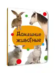 Оранжевый книги детские картонные развивающие/сказки, мини-формат 11x15 см. 10 стр. Проф-Пресс