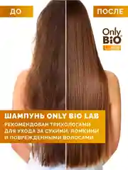 Восстанавливающий шампунь-эликсир Only Bio Lab Repair-elixir, 350 мл