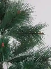 Елка искуственная, новогодняя, 120 см, "Velvet Pinewood", с инеем и шишками