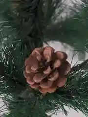 Елка искуственная, новогодняя, 120 см, "Velvet Pinewood", с инеем и шишками