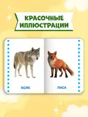 Белый книги детские картонные развивающие/сказки, мини-формат 11x15 см. 10 стр. Проф-Пресс
