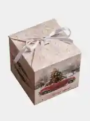 Красный новогодняя подарочная коробка для новогоднего подарка, 2 вида, 10 х 10 х 10 см