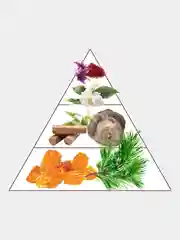 Духи парфюмерные PREPARFUMER Аmbre Rouge, 30 мл