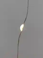 Грилянда Neon-Night Дождь из росы, 3х3м, 300LED, теплый белый, IP20, с крючками
