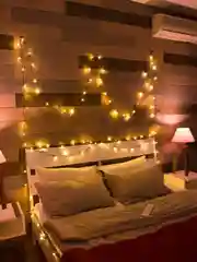 Гирлянда Твинкл Neon-Night, темно-зеленый ПВХ, 80 LED теплый белый, не соединяется, 10 м