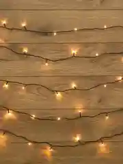 Гирлянда Твинкл Neon-Night, темно-зеленый ПВХ, 80 LED теплый белый, не соединяется, 10 м