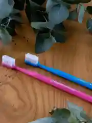 Зубная щётка для взрослых SYNERGETIC Eco dental care, средней жесткости, набор из 2 штук