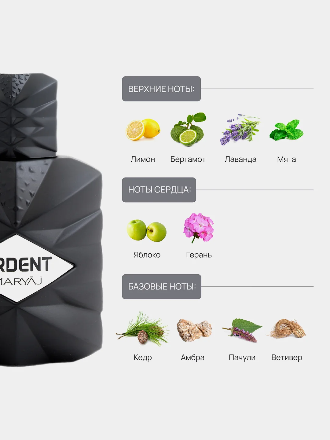 Парфюмерная вода мужская MARYAJ ARDENT FOR MEN, 100 мл