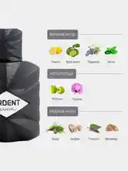 Парфюмерная вода мужская MARYAJ ARDENT FOR MEN, 100 мл