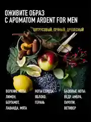 Парфюмерная вода мужская MARYAJ ARDENT FOR MEN, 100 мл