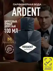 Парфюмерная вода мужская MARYAJ ARDENT FOR MEN, 100 мл