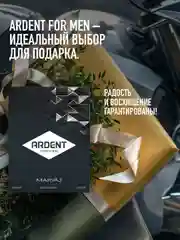 Парфюмерная вода мужская MARYAJ ARDENT FOR MEN, 100 мл