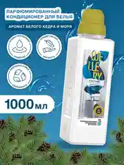 Парфюмированный кондиционер для  белья Wellery Couture for men "Аромат моря и кедра", 1 л