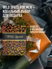 Парфюмерная вода мужская MARYAJ WILD SPEED FOR HIM, 100 мл