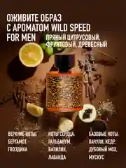 Парфюмерная вода мужская MARYAJ WILD SPEED FOR HIM, 100 мл