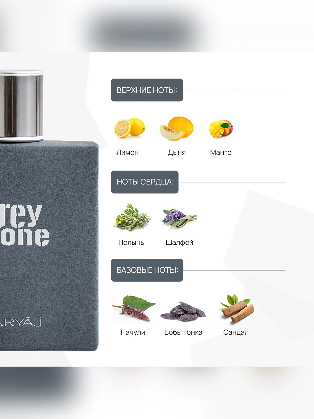 Парфюмерная вода мужская MARYAJ GREY STONE, 100 мл