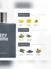 Парфюмерная вода мужская MARYAJ GREY STONE, 100 мл