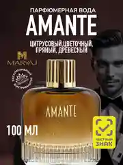 Парфюмерная вода мужская MARYAJ AMANTE, 100 мл