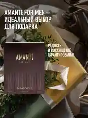 Парфюмерная вода мужская MARYAJ AMANTE, 100 мл