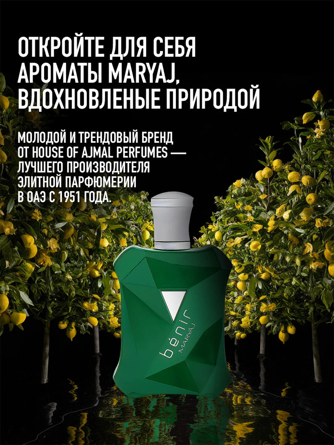 Парфюмерная вода мужская MARYAJ BENIR, 100 мл